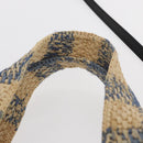 LOEWE Hand Bag Raffia 2way Light Blue Silver Auth 158951SAV-14