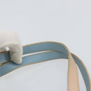 FENDI Zucchino Canvas Hand Bag Multicolor Gold Auth 159377-8