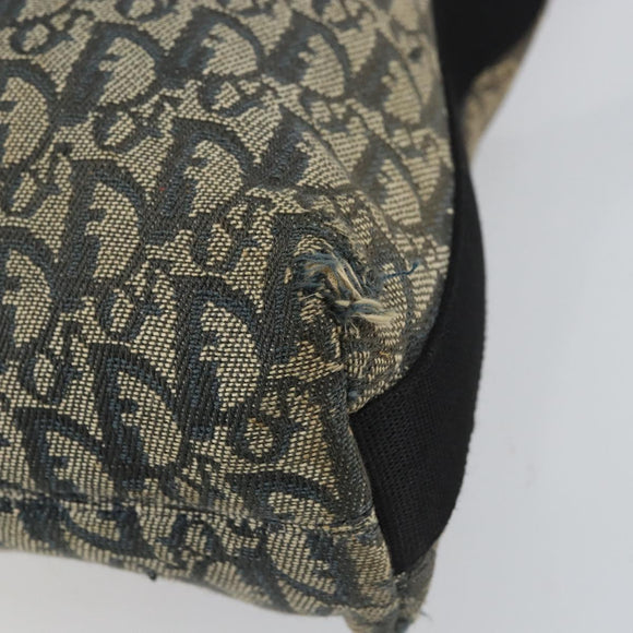 Christian Dior Trotter Canvas Shoulder Bag Navy Silver Auth 160673