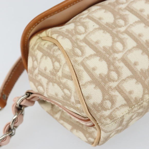 Christian Dior Trotter Canvas Romantic Bag PVC Beige Silver Auth 161033A