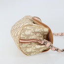 Christian Dior Trotter Canvas Romantic Bag PVC Beige Silver Auth 161033V-3
