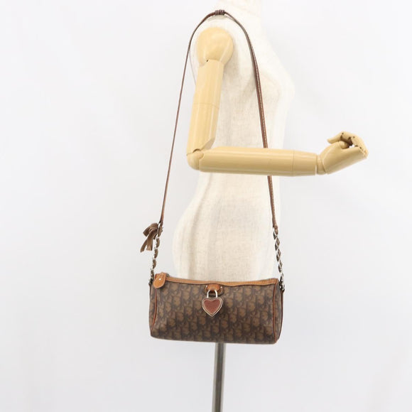 Christian Dior Trotter Romantic Shoulder Bag PVC Brown Silver Auth 161049V