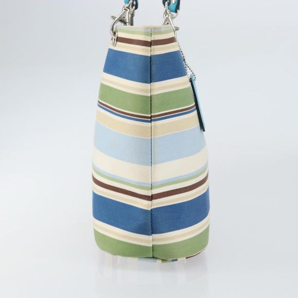BURBERRY Tote Bag Canvas Blue Silver Auth 161168