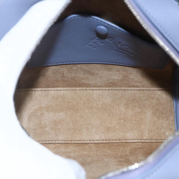 LOEWE Amazona 15 Calcifer Howl's Castle Ghibli Amazona 15 Bag 2way Auth 161562SM