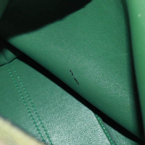 LOEWE Chain Avenue Shoulder Bag Leather Green Silver Auth 161591V