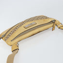 Christian Dior Trotter Canvas Street Chic Shoulder Bag Beige Silver Auth 161759-6