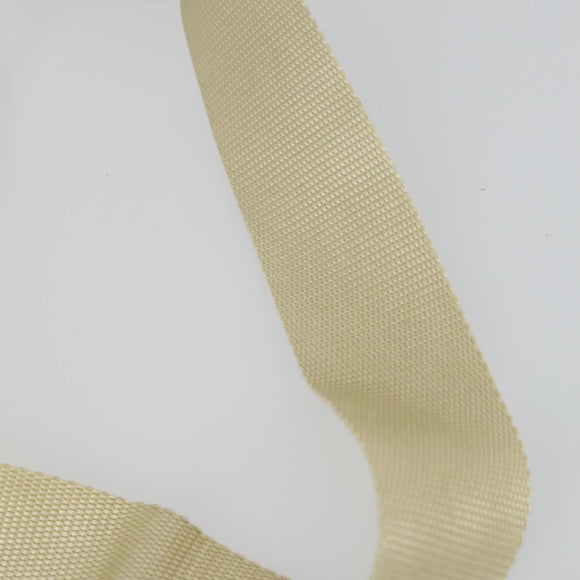 PRADA Shoulder Bag Nylon Ivory Silver Auth 161780