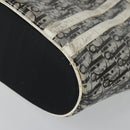 Christian Dior Trotter Canvas Hand Bag Vinyl Clear Silver Auth 162441-11
