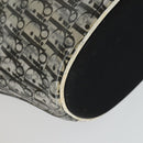 Christian Dior Trotter Canvas Hand Bag Vinyl Clear Silver Auth 162441-14