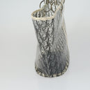 Christian Dior Trotter Canvas Hand Bag Vinyl Clear Silver Auth 162441-4