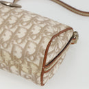 Christian Dior Trotter Canvas Romantic Shoulder Bag PVC Beige Silver Auth 162849-10