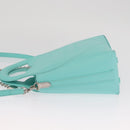 TIFFANY&Co. Hand Bag Leather 2way Peppermint Silver Auth 162869SM-4