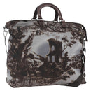 PRADA Hand Bag Nylon 2way Brown Silver Auth 163076-1