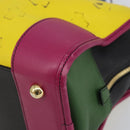 LOEWE Amazona 36 Hand Bag Leather Multicolor Gold Auth 163792V-15