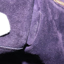 LOEWE Amazona 36 Hand Bag Leather Multicolor Gold Auth 163792V-11