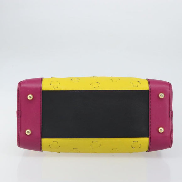 LOEWE Amazona 36 Hand Bag Leather Multicolor Gold Auth 163792V