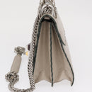 FENDI Chain Canai Shoulder Bag Leather 2way Gray Silver Auth 164928-4