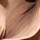 CELINE Macadam Canvas Tote Bag PVC Leather Brown Gold Auth 165026-20