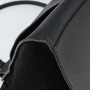 CELINE Trapeze Hand Bag Leather Suede Black Silver Auth 165042-15