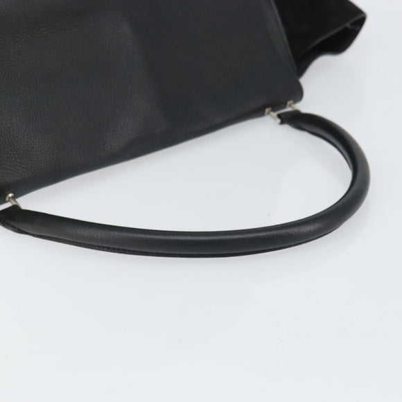 CELINE Trapeze Hand Bag Leather Suede Black Silver Auth 165042