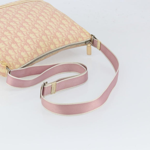 Christian Dior Trotter Canvas Schoudertas PVC Roze Zilver Auth 165231