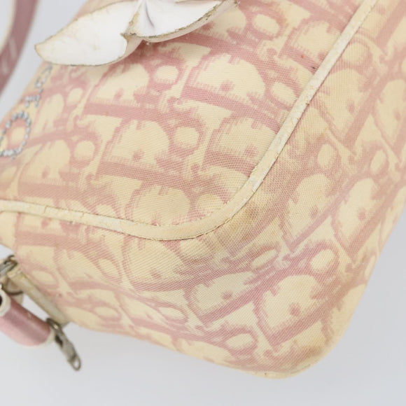 Christian Dior Trotter Canvas Shoulder Bag PVC Pink Silver Auth 165233