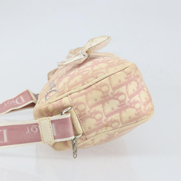 Christian Dior Trotter Canvas Shoulder Bag PVC Pink Silver Auth 165233