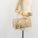 Christian Dior Trotter Canvas Romantic Hand Bag PVC Beige Silver Auth 165275V-24