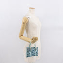 FENDI Beads Hand Bag Canvas Blue Silver Auth 165940SAV-22