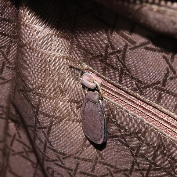Christian Dior Lady Dior Canage Hand Bag Suede Brown Gold Auth 165978
