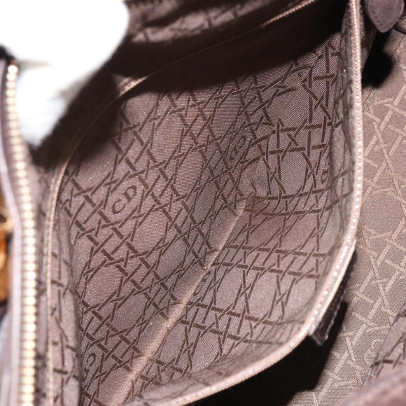 Christian Dior Lady Dior Canage Hand Bag Suede Brown Gold Auth 165978