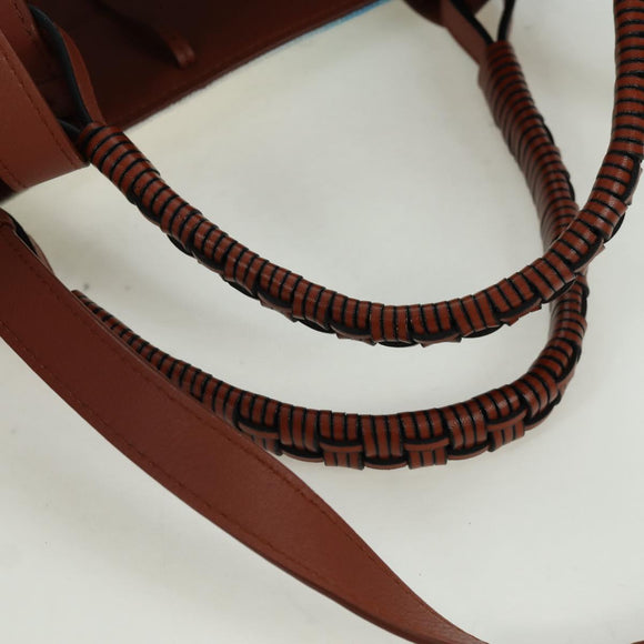 LOEWE × Studio Ghibli Howl's Moving Castle Anagram Bag Canvas Auth 166901SM