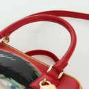 LOEWE × Ghibli Witch Of The Waste Howl's Moving Castle Amazona 19 Auth 166904SM-14