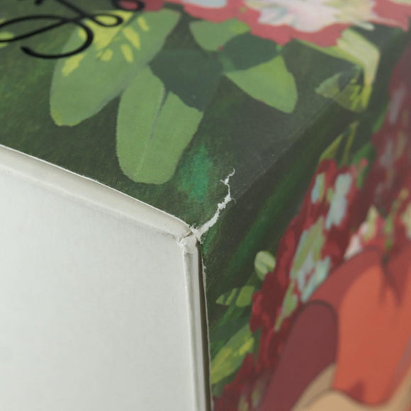LOEWE × Studio Ghibli Hammock Small Chihiro Spirited Away Canvas Auth 166905SM