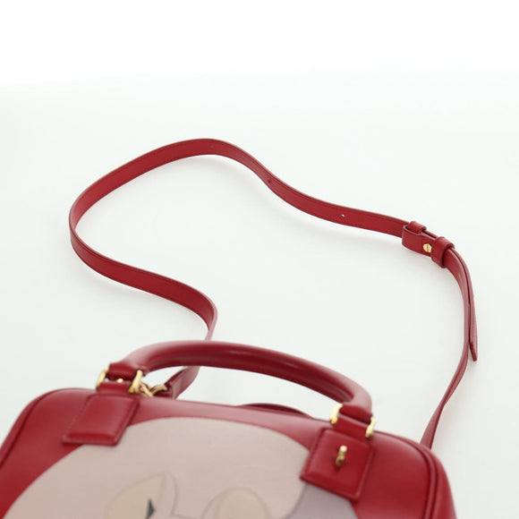 LOEWE × Studio Ghibli Spirited Away Amazona 21 Bag Leather Red Auth 166973SM