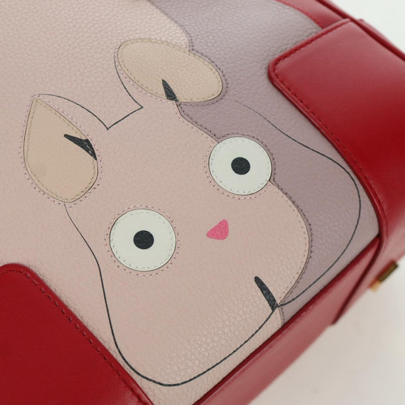 LOEWE × Studio Ghibli Spirited Away Amazona 21 Bag Leather Red Auth 166973SM