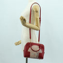 LOEWE × Studio Ghibli Spirited Away Amazona 21 Bag Leather Red Auth 166973SM-28