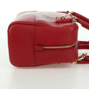LOEWE × Studio Ghibli Spirited Away Amazona 21 Bag Leather Red Auth 166973SM-4