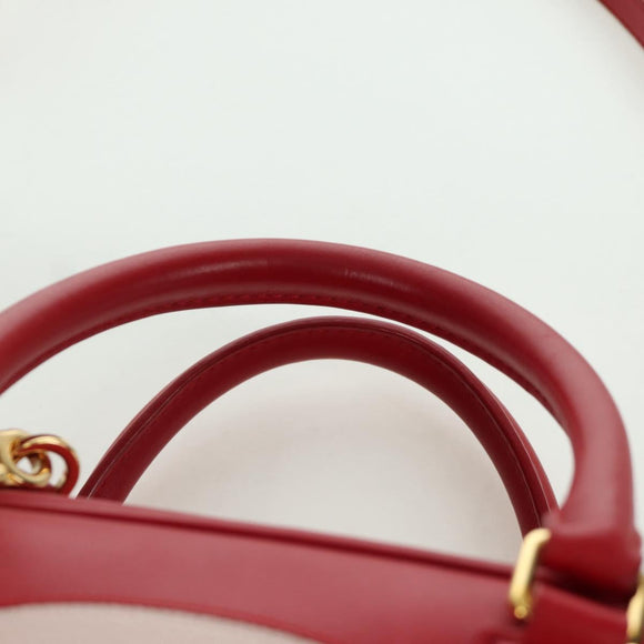 LOEWE × Studio Ghibli Spirited Away Amazona 21 Bag Leather Red Auth 166973SM