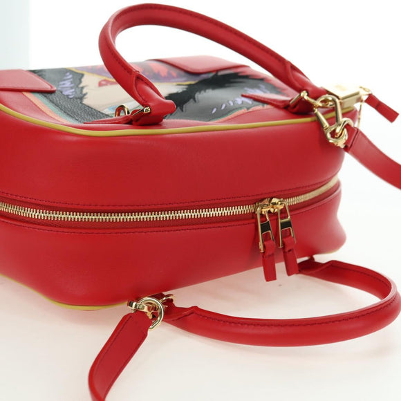 LOEWE × Ghibli Howl's Amazon 28 The Witch Of The Wasteland 2way Auth 167252SM