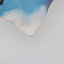LOEWE Studio Ghibli Howl's Moving Castle Pouch Nylon Blue Auth 167481M-14