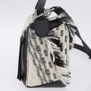 LOEWE AniAlverse Collaboration Puzzle Bag Small Cotton White Auth 167494SM-4
