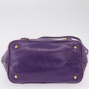 Miu Miu Hand Bag Leather 2way Purple Gold Auth 167804M-17