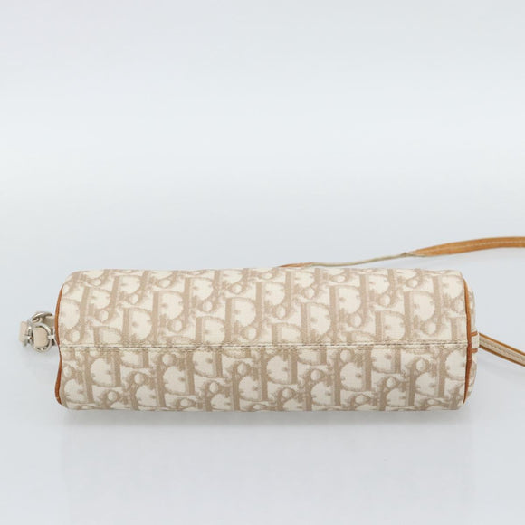Christian Dior Trotter Canvas Romantic Bag PVC Beige Silver Auth 168086