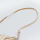 Christian Dior Trotter Canvas Romantic Bag PVC Beige Silver Auth 168086-8