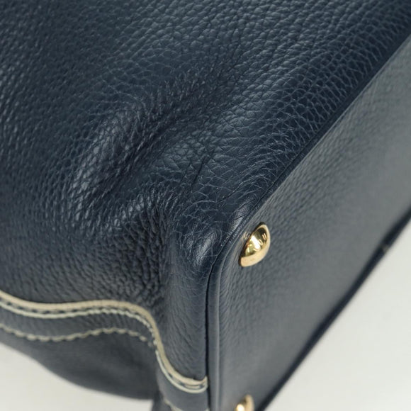 LOUIS VUITTON Tobaco T&B Shoe bag Tote Bag Leather Navy M95149 LV Auth 168317V