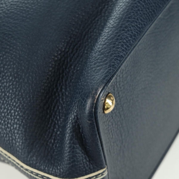 LOUIS VUITTON Tobaco T&B Shoe bag Tote Bag Leather Navy M95149 LV Auth 168317V