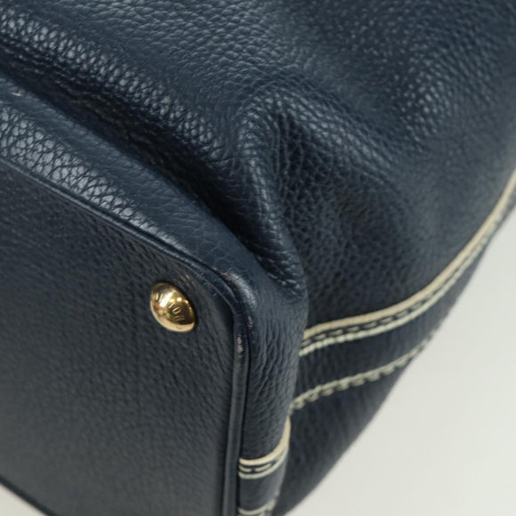 LOUIS VUITTON Tobaco T&B Shoe bag Tote Bag Leather Navy M95149 LV Auth 168317V