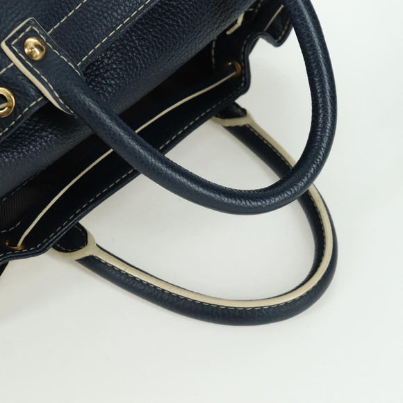 LOUIS VUITTON Tobaco T&B Shoe bag Tote Bag Leather Navy M95149 LV Auth 168317V