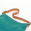 CELINE C Macadam Canvas Shoulder Bag Suede Leather Turquoise Blue Auth 168361V-8
